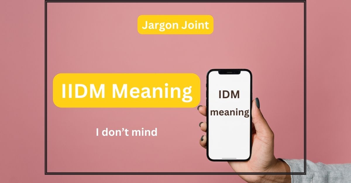 IDM Meaning in Chats